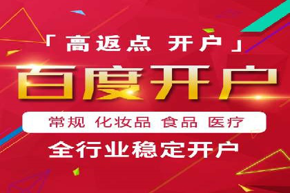 百度竞价赚钱攻略：实战案例分享